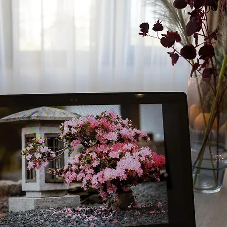 Appartamento Azaleea *