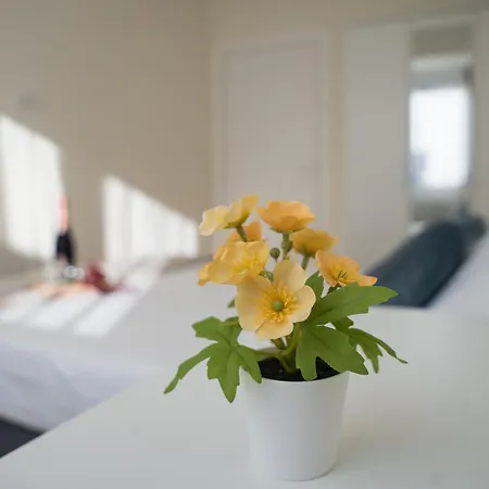 Apartment Azaleea